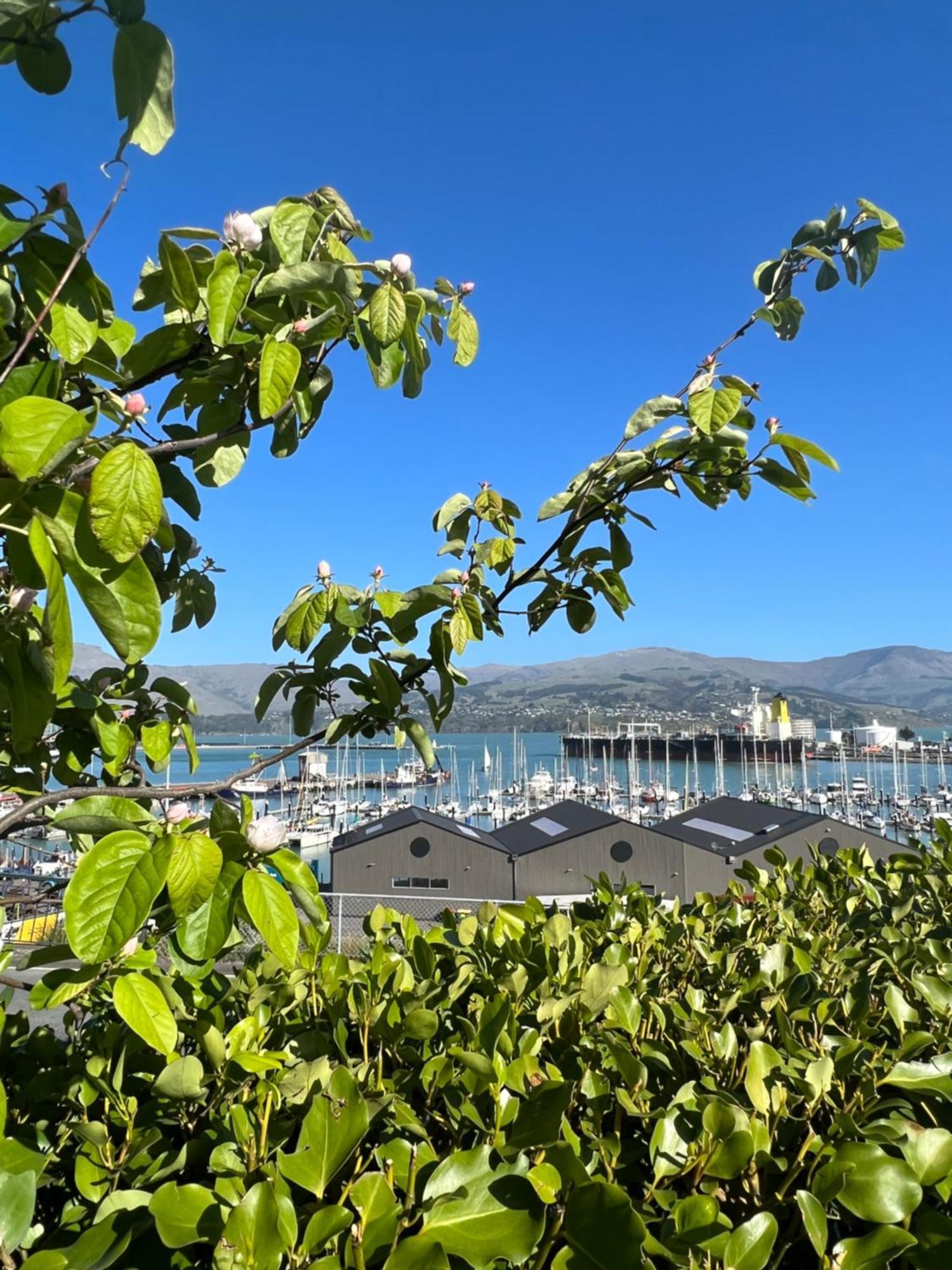 Sea Views In Luxury At Lyttelton Boatique House - 14 Km From Christchurch Екстериор снимка