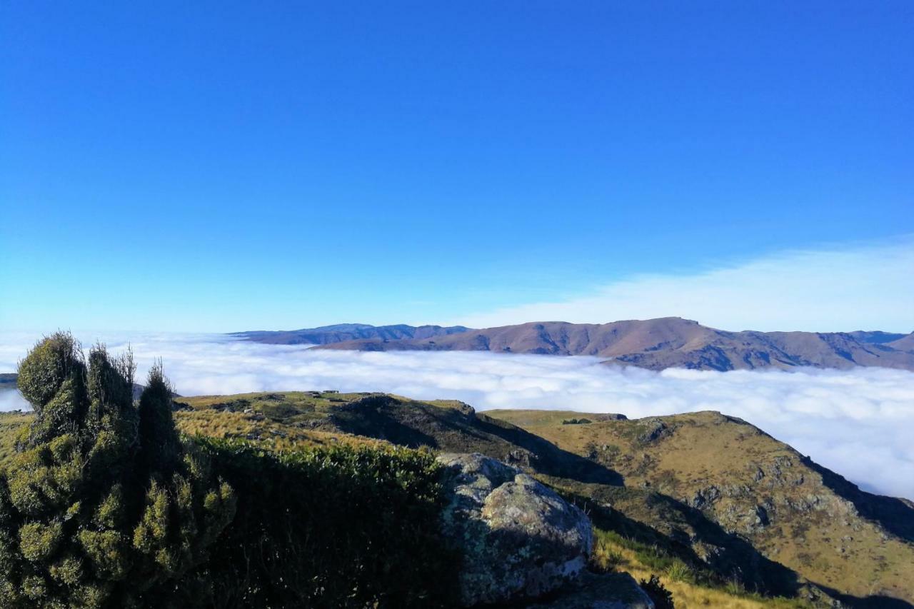 Sea Views In Luxury At Lyttelton Boatique House - 14 Km From Christchurch Екстериор снимка